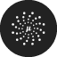 micronaut